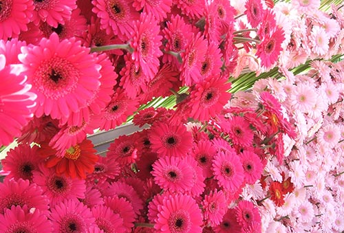 Summer Wedding Trends For 2014