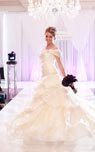 Announcing the 2012 Bridal Show!