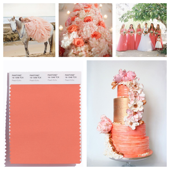 Peach Echo color board