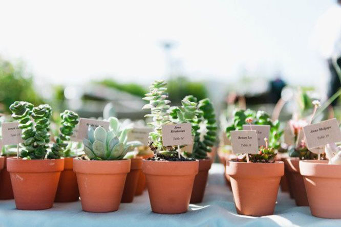 The Many Wedding Favor Options