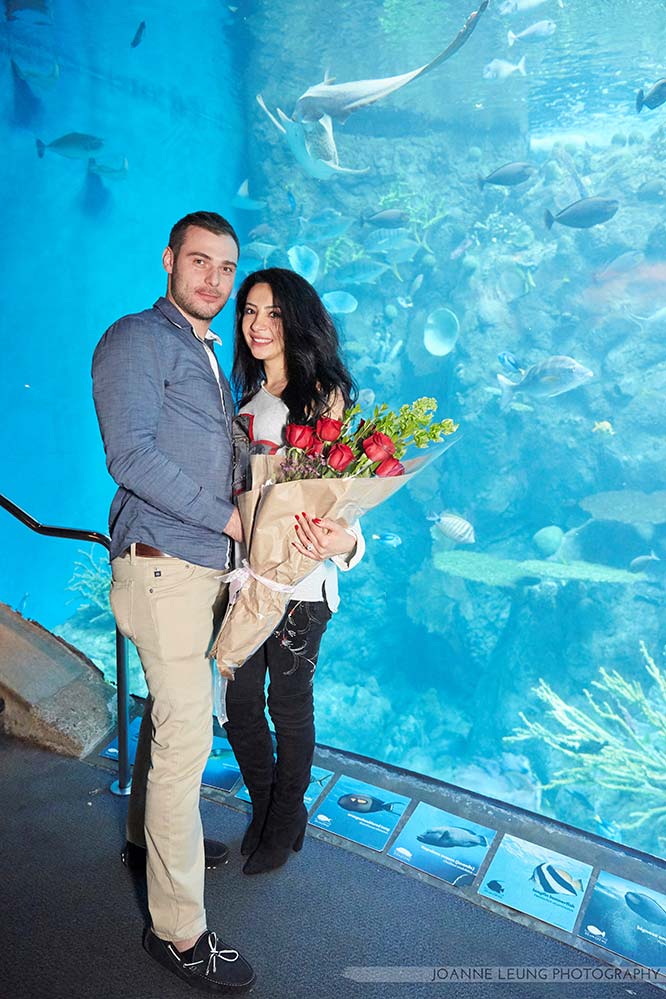 Featured Proposal: Manuel & Narine