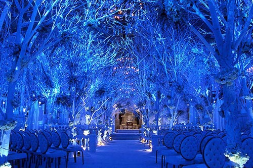 Anoush - Winter Weddings