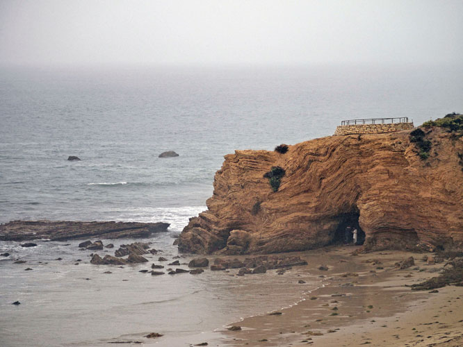 Arby and Anita Proposal