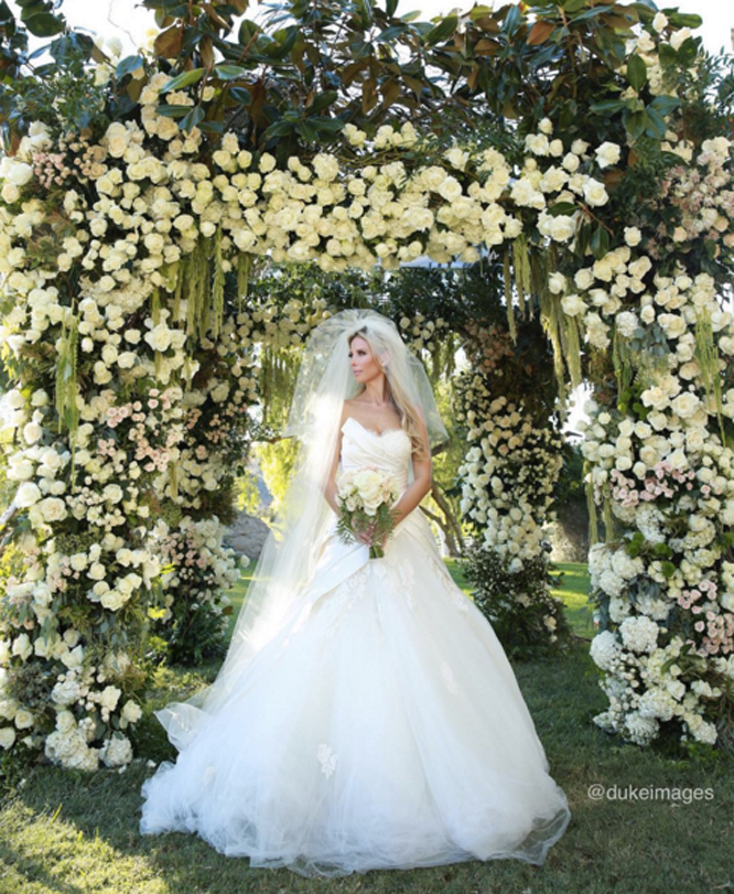 Blusher Photo by Dukeimages