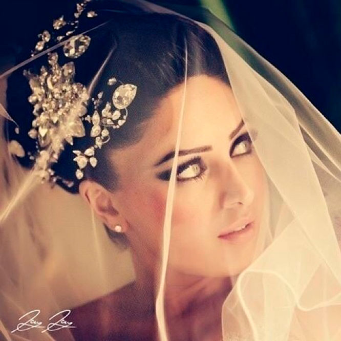 veils and accessories