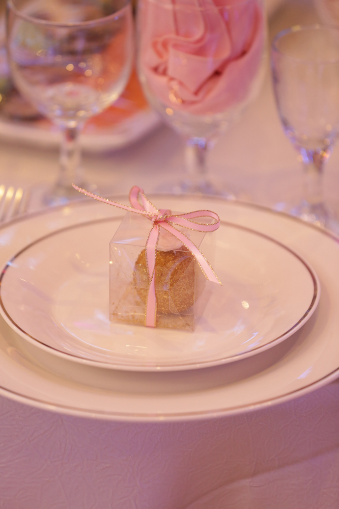 Mary and Raffi Engagement