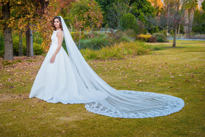 zveil Bridal Accessory