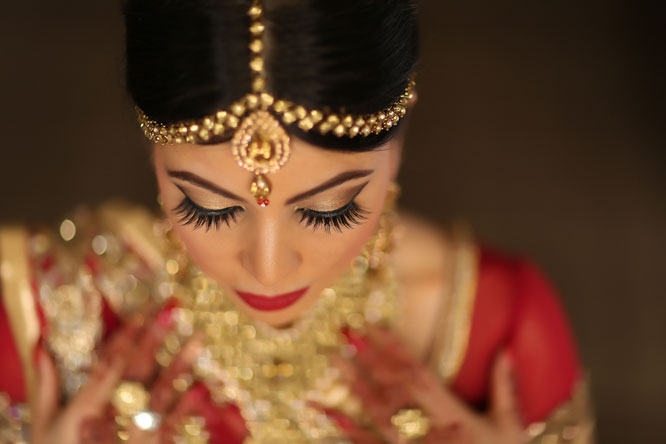 Ani and Anil's Indian Armenian Wedding