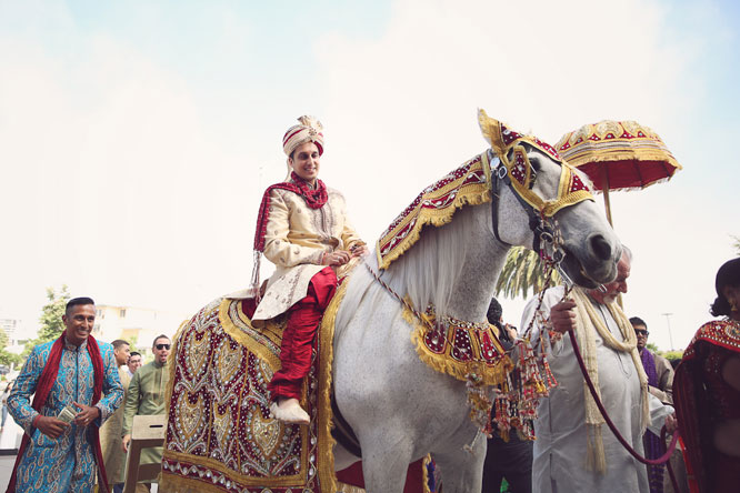 Ani and Anil's indian Armenian Wedding