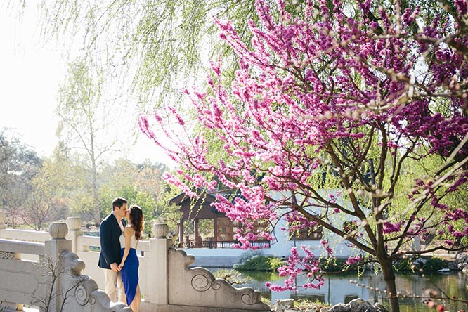 Featured Proposal: Tigran & Mariam