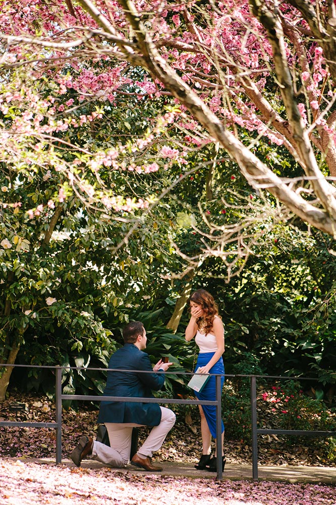 Featured Proposal: Tigran & Mariam